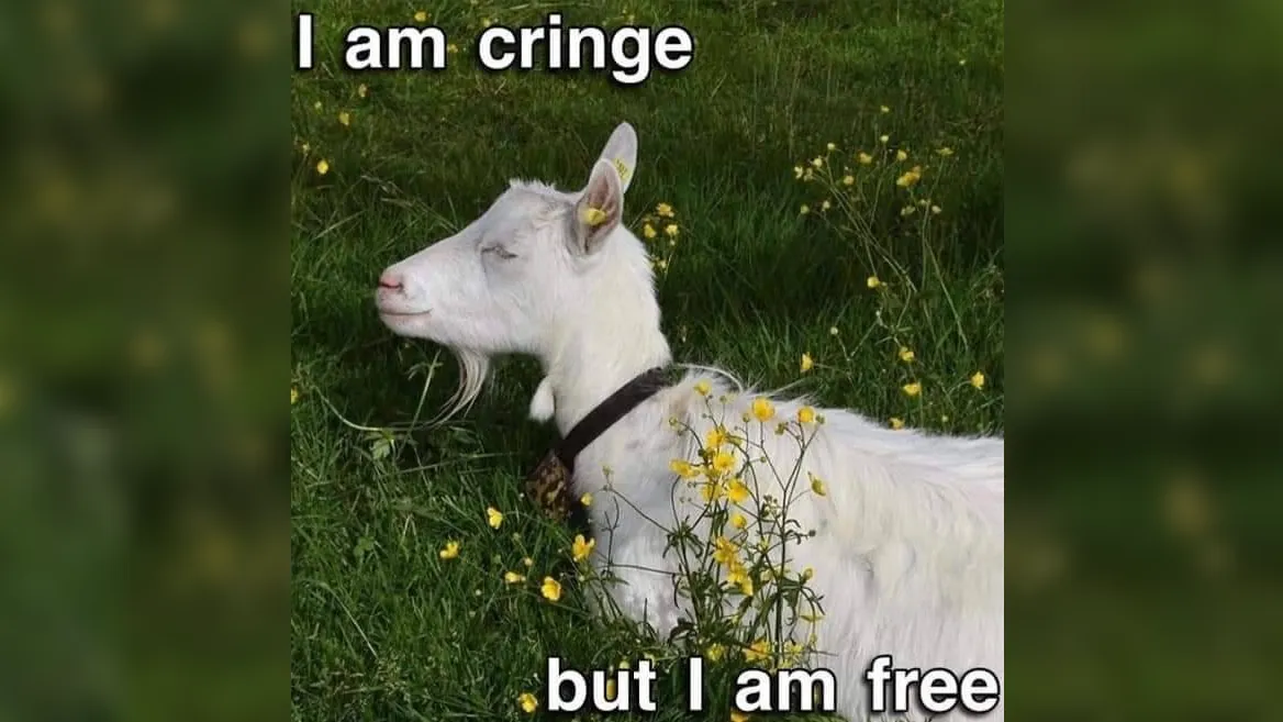 I Am Cringe But I Am Free