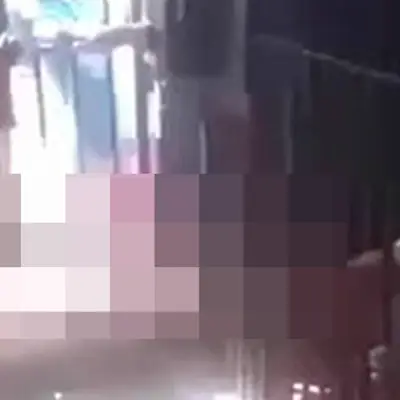 Jellyfish Arms Jail Video