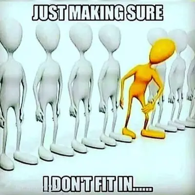 Just Making Sure I Don't Fit In
