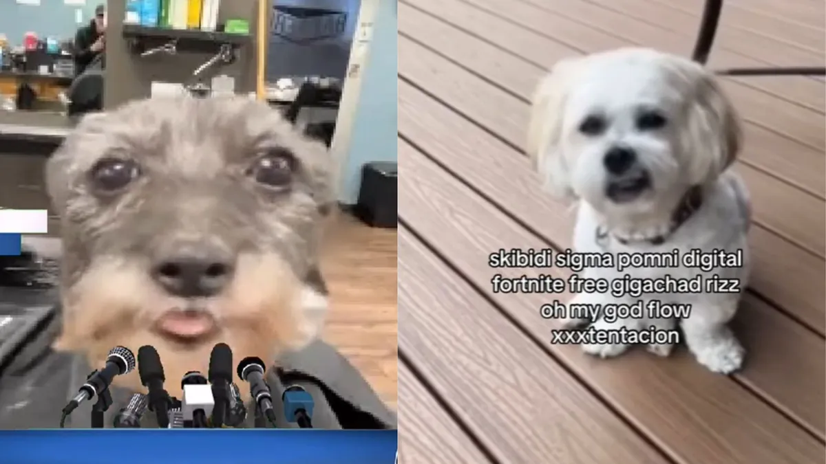 Skibidi Sigma Pomni Digital Fortnite