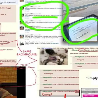 Taylor Swift Is a 4chan User Conspiracy Theory