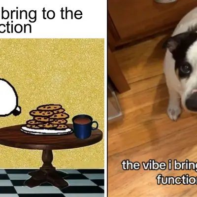 The Vibe I Bring To The Function