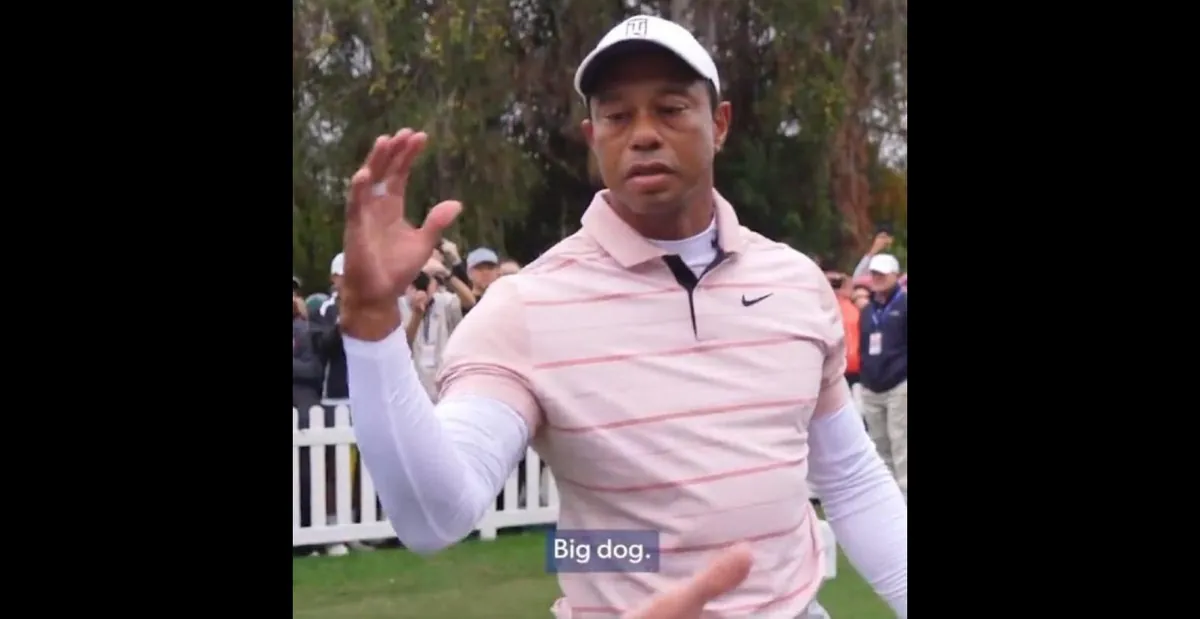 Tiger Woods "Big Dog"