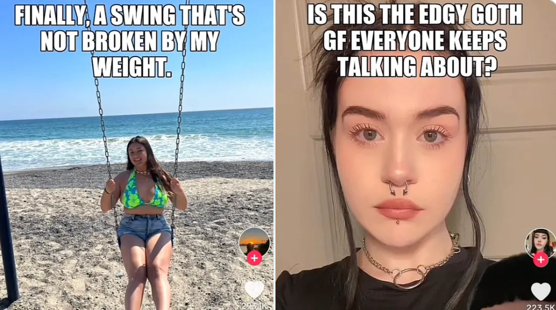 TikTok's AI Meme / Roast Filter