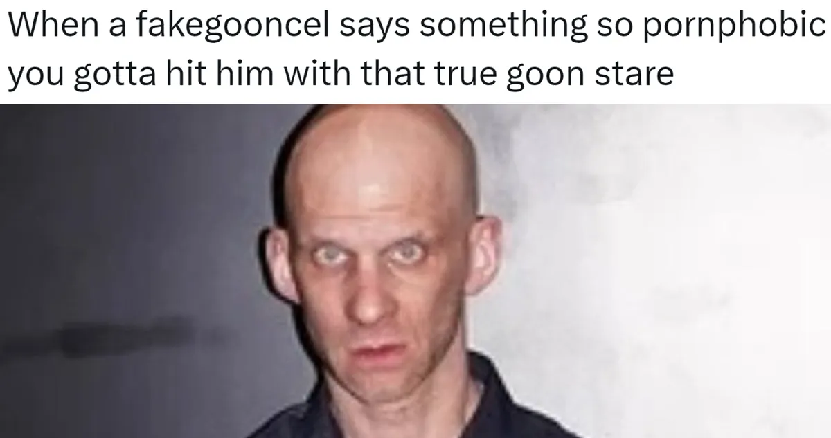 True Goon Stare / When A Fakegooncel Says Something Pornophobic