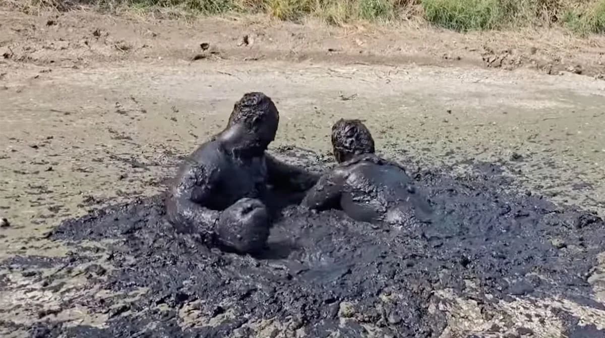 Two Guys Mud Boxing