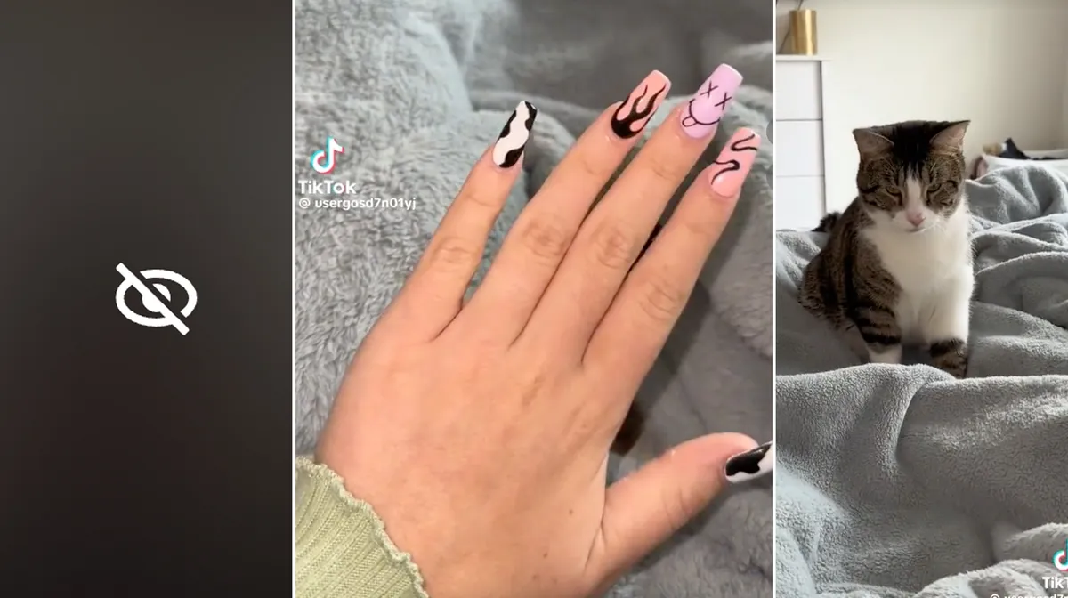 usergosd7n01yj "New Nails & My Kitty" TikTok Video