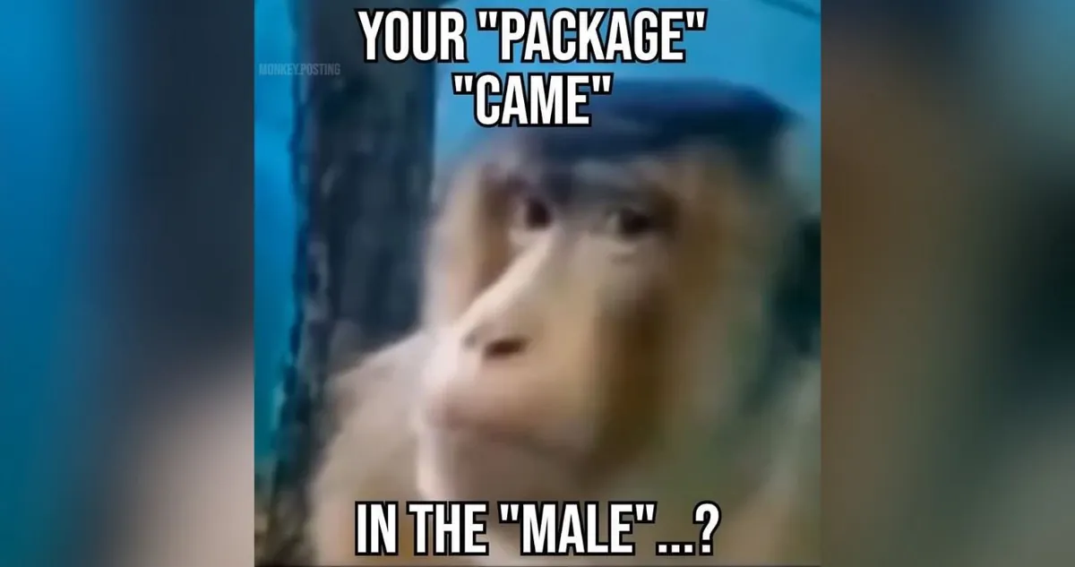Your "Package" "Came" In the "Male"