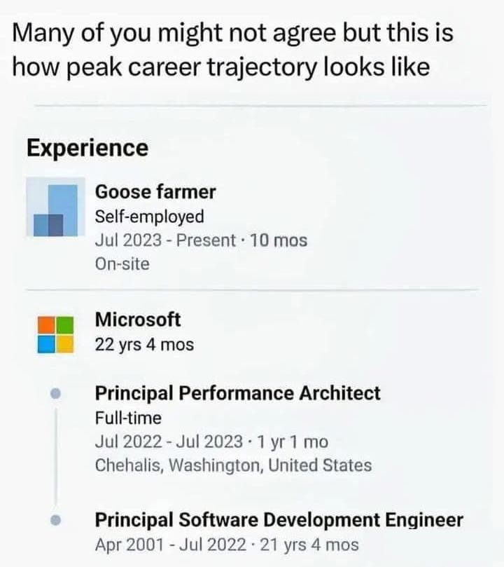 peakProgrammerCareerTrajectory