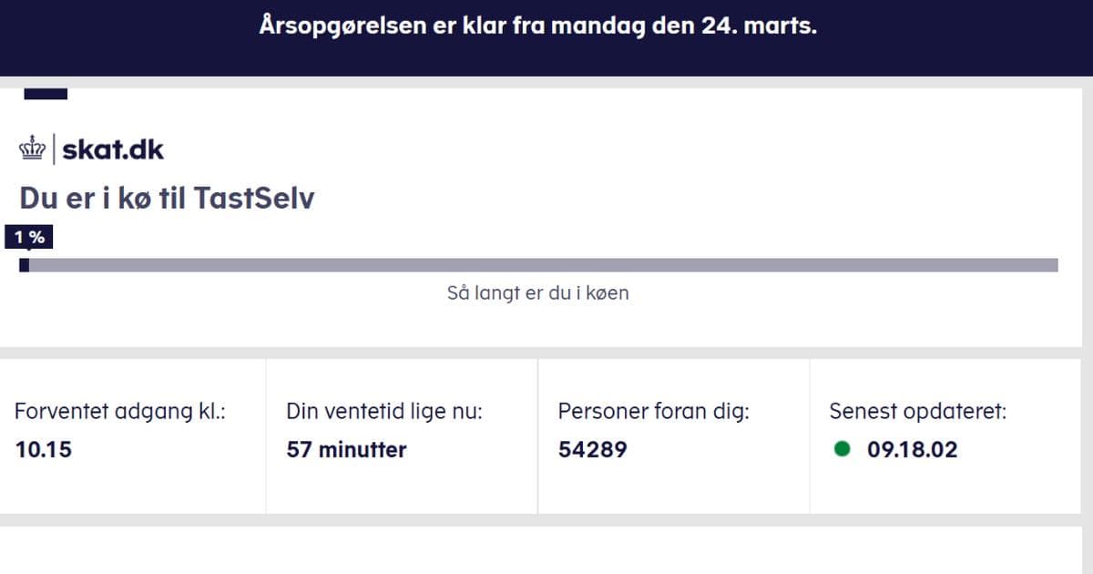 everyYearInTheEndOfMarchDanesFormASilientProtestAgainstTheTaxAuthoritiesAndPerformACordinatedDDOSAttack