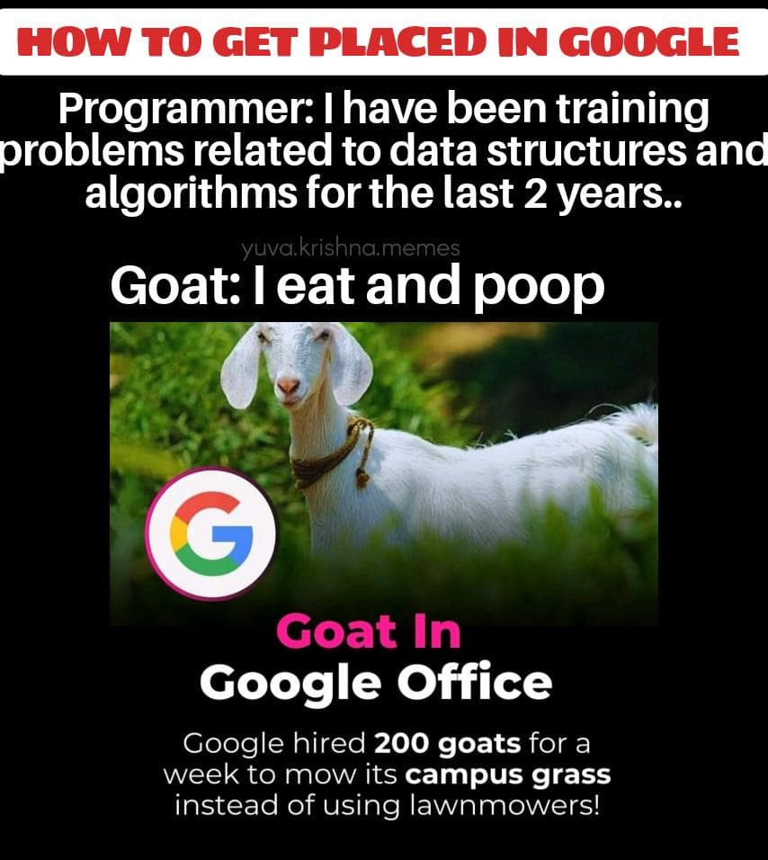 programmer0Goat1