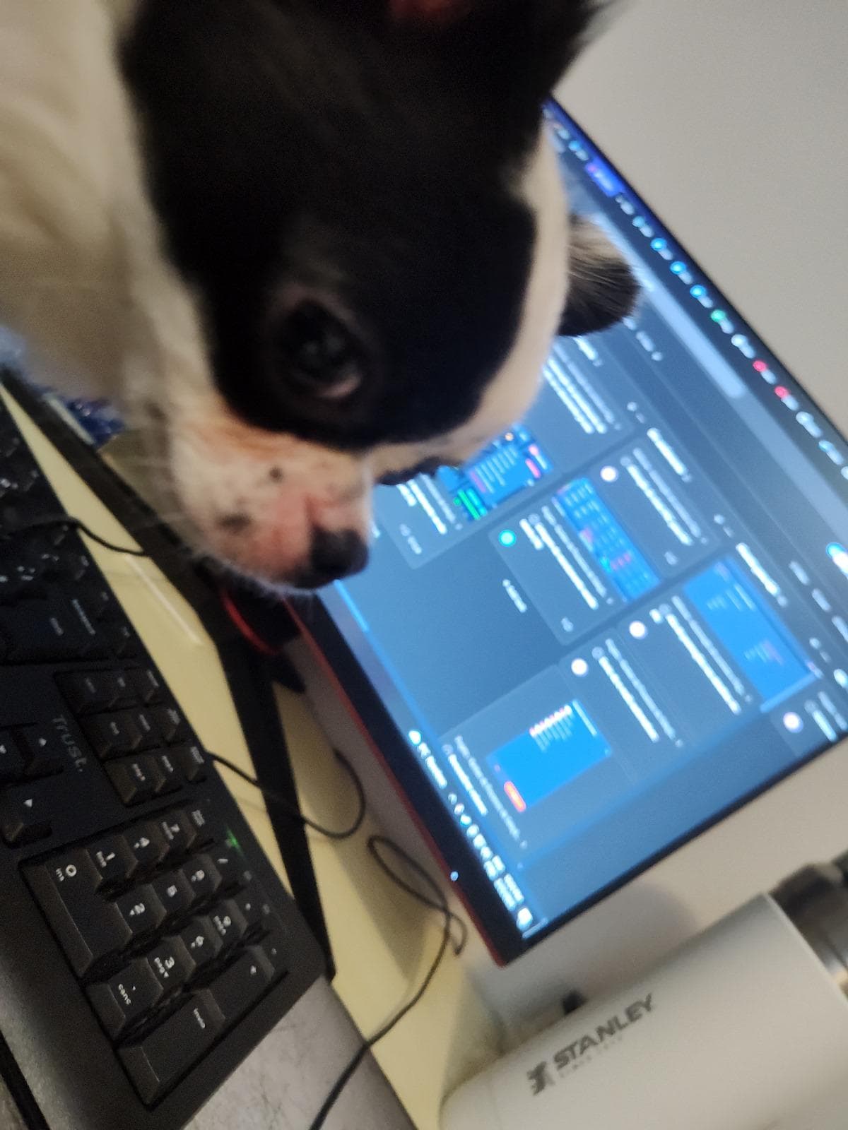 checkingAsanaForMondayDaily