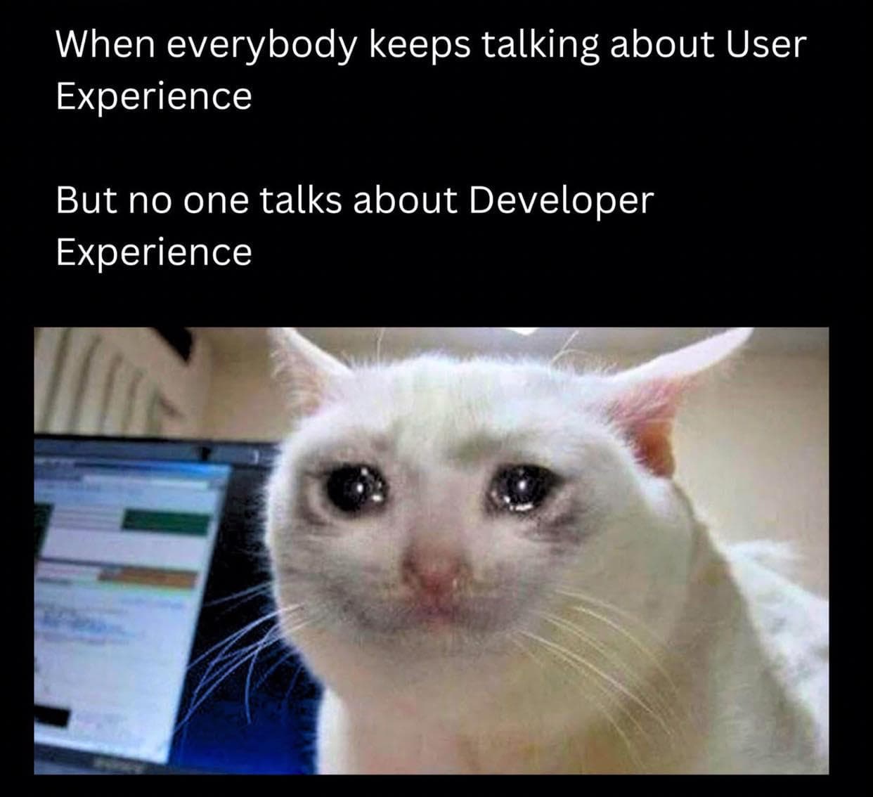 userExperienceOrDeveloperExperience