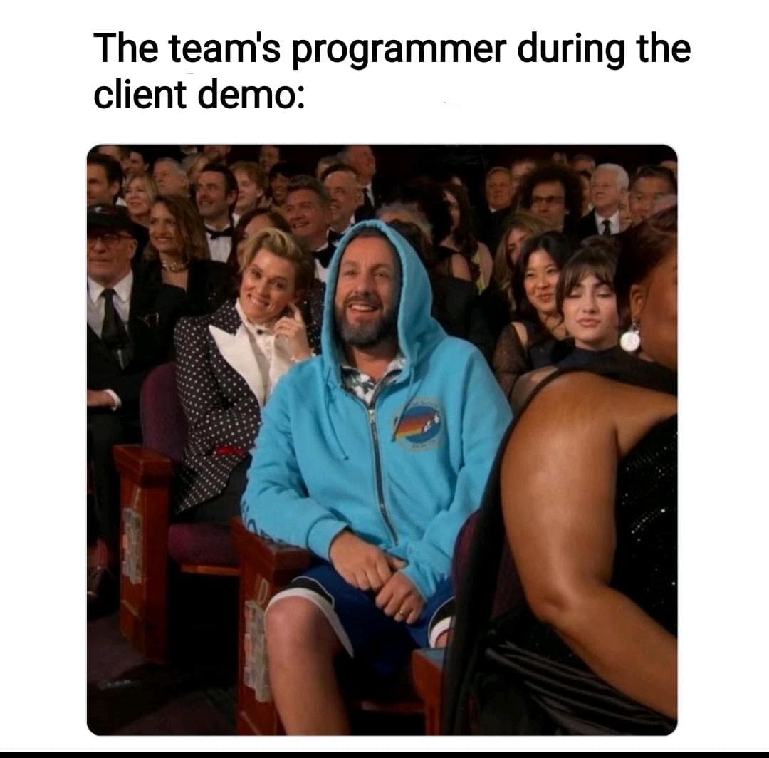 whenTheOnlyPersonWhoUnderstandsTheCodeMustExplainItToTheClient