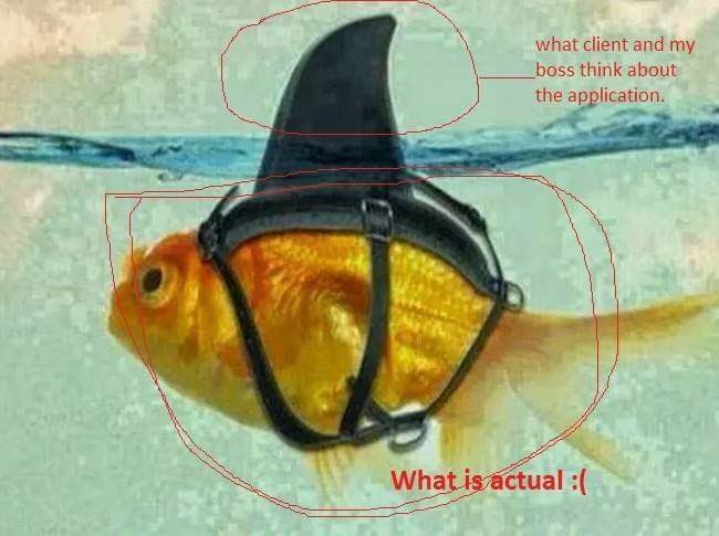 Programming Meme #1157