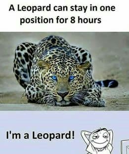 Programming Meme #1178