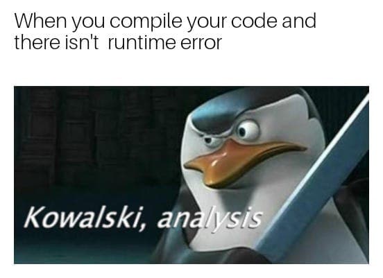 Programming Meme #1229