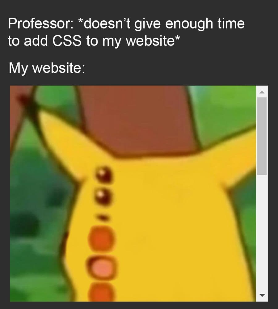 Programming Meme #1262