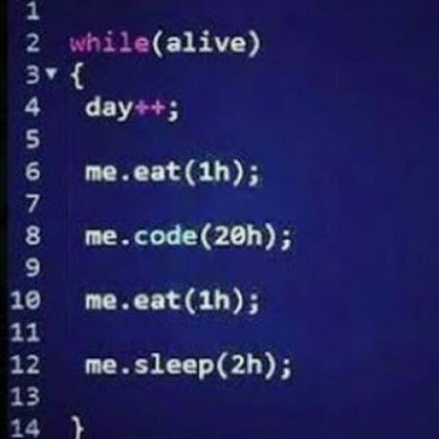 Programming Meme #1395