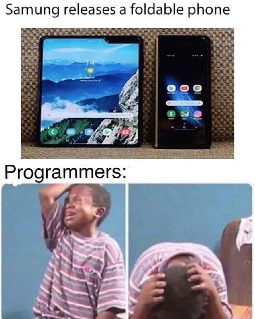 Programming Meme #1418