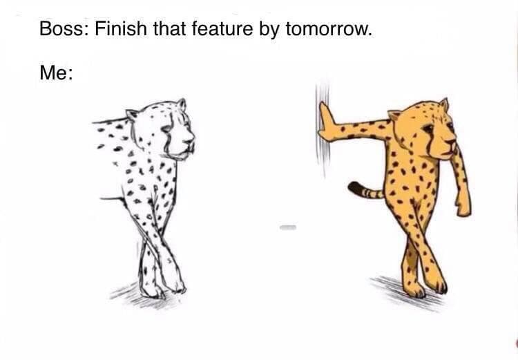 Programming Meme #1437