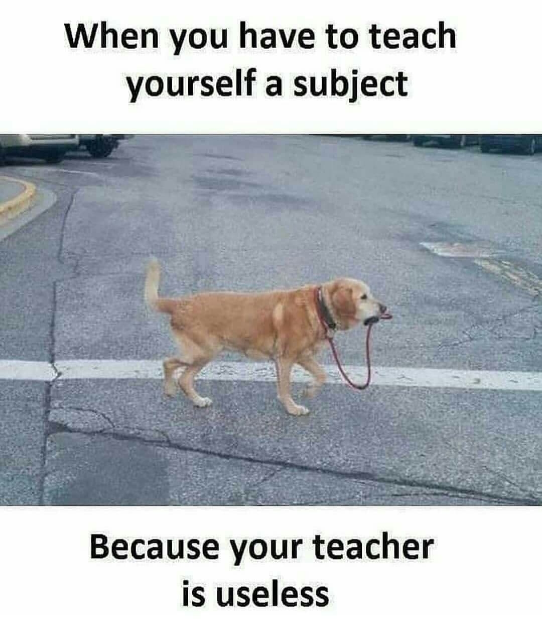 Programming Meme #1505