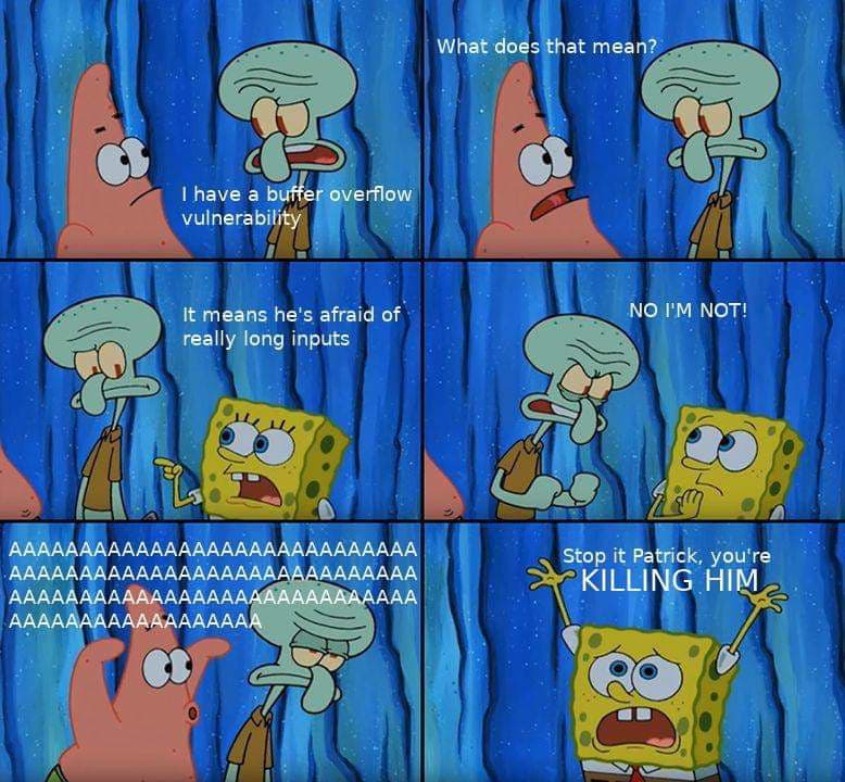 Programming Meme #1564