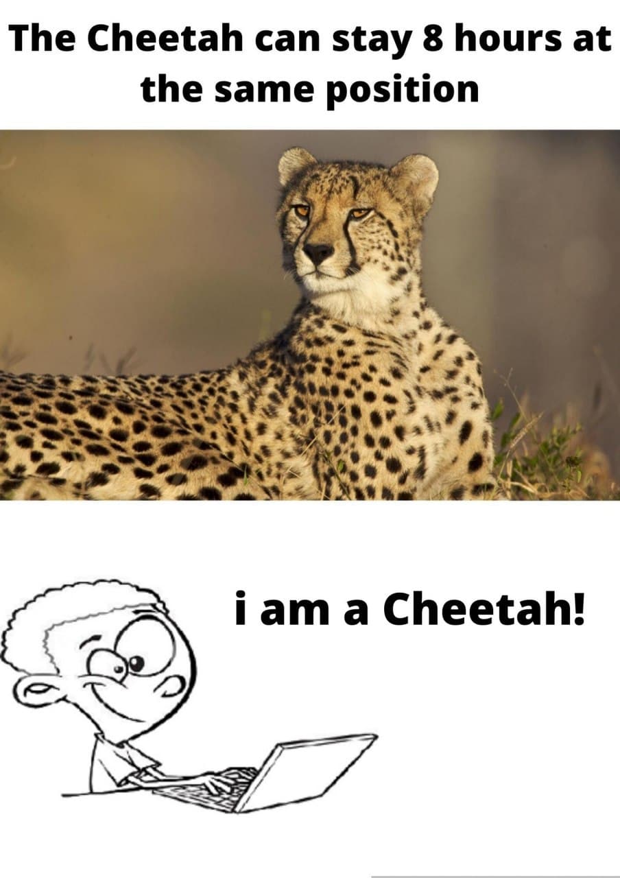 Programming Meme #1655