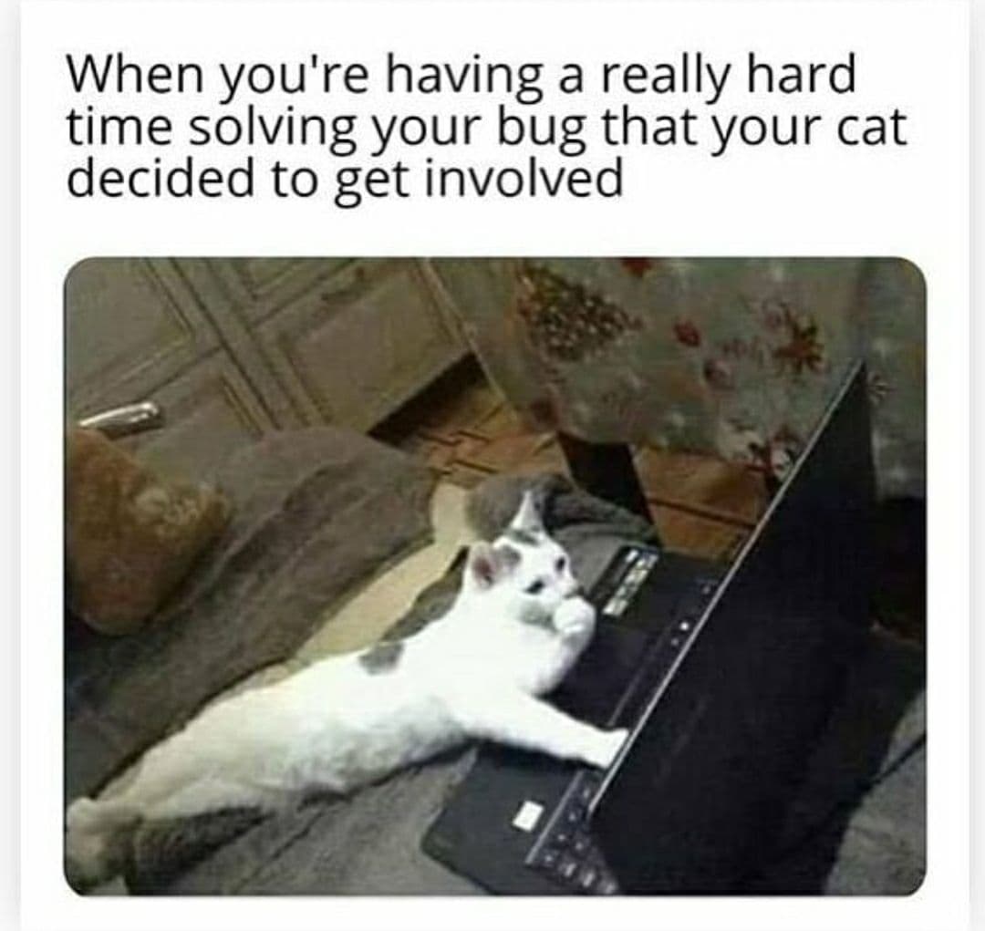 Programming Meme #1784