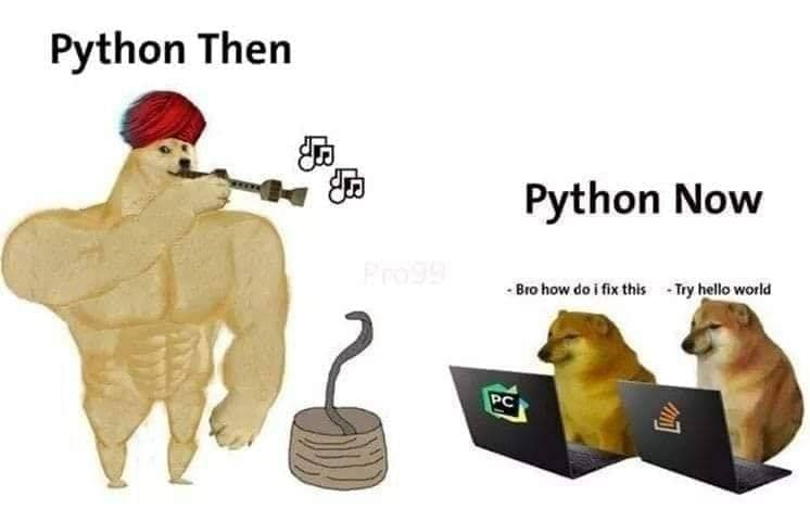 Programming Meme #1856