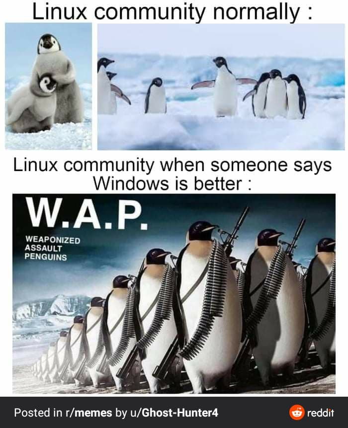 Programming Meme #1943